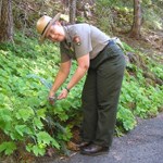 Ranger Nicole Ranger Nicole