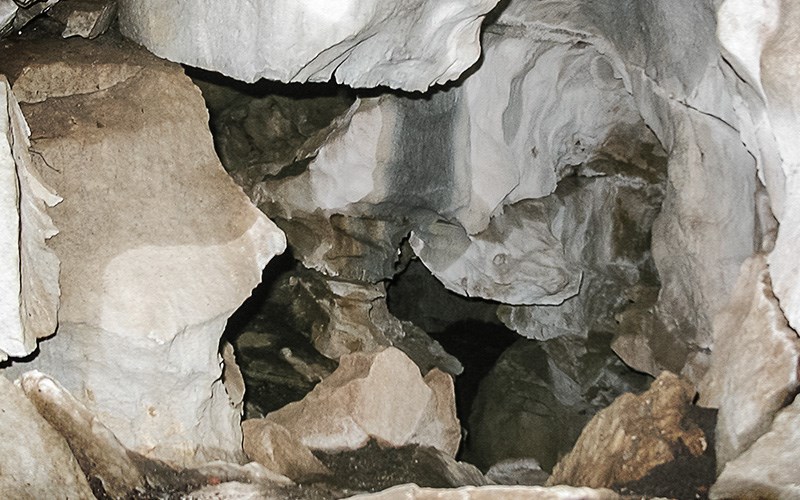 Entrance Web
