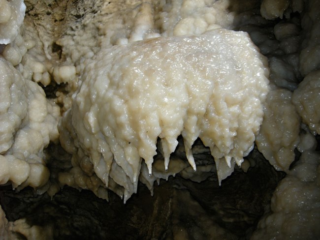 The mineral calcite forming a speleothem known as drapery on the marble in Oregon Caves.