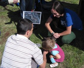 A child and her father rolls through the rock cycle and make bracelets during Rogue Valley Earth Day.