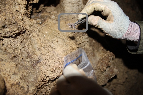 Picking gobs of lint