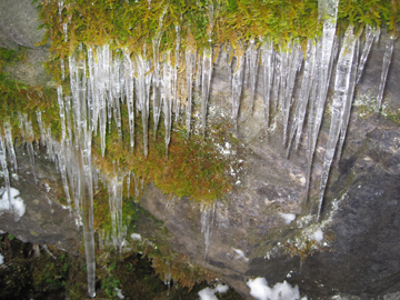 If you plan to visit the cave early this spring, be prepared for ice and snow on trails leading to cave openings. Bad weather may cause road closures or tour cancellations. Call the Monument for current conditions.