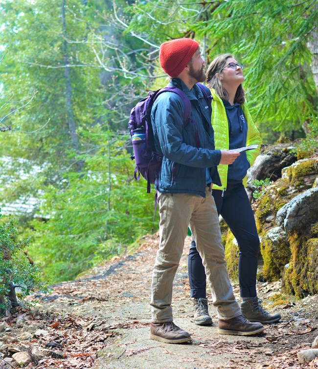 Two hikers viewing trees on Old Growth Ttrail.