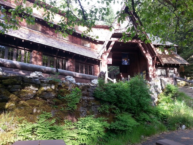 Historic Oregon Caves chalet with dappled summer lighting and a black-tailed deer hiding amongst the foilage.