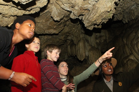 A tour group exploring the cave on the Discovery Cave Tour.
