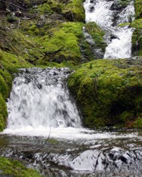 Cascading falls on the No Name trail.