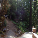 The trails you can take right after you cave tour. The trails you can take right after you cave tour.