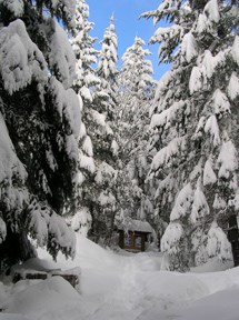 Winter weather occurs throughout fall, winter, and spring at Oregon Caves!
