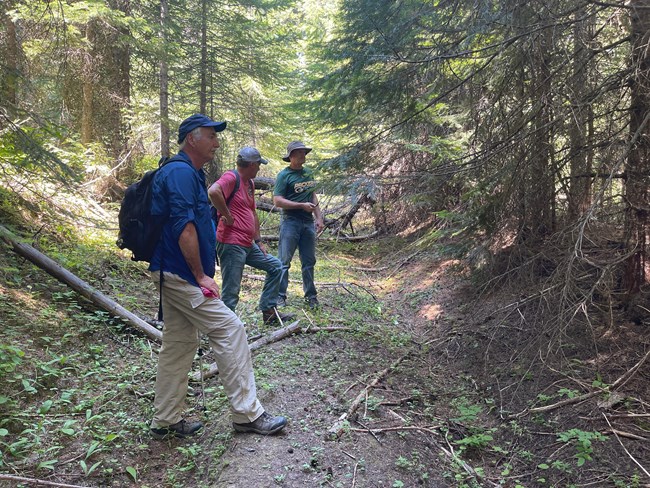 People stand on a trail in the forest.