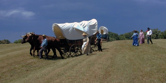 Oxen - Oregon National Historic Trail (U.S. National Park Service)