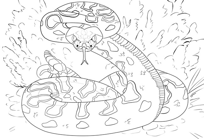 coloring pages  oregon national historic trail us