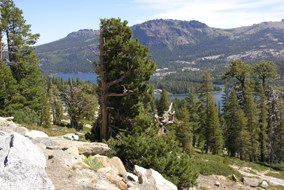 Carson Pass Route of the California NHT