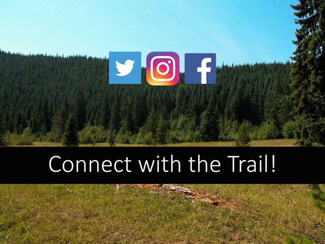 People walk down a trail in a wooded setting.