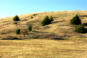 OREG Windlass Hill