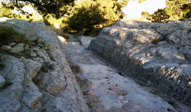 A deeply eroded grey limestone rock outcrop with parallel ruts on the sides from wagon wheels with pine trees in the background.