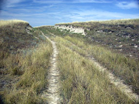 Photo image of California Hill where Oregon & California bound emigrants crossed the Platte River on their way west. Photo image of California Hill where Oregon & California bound emigrants crossed the Platte River on their way west.