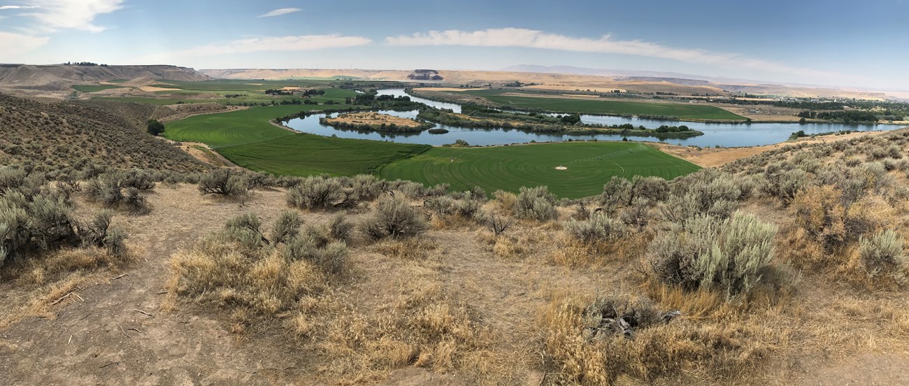 Overlooking a river bottom, with an island, in an agricultural area.