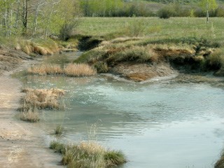 Photo image of bubbling carbonated springs at Soda Springs.
