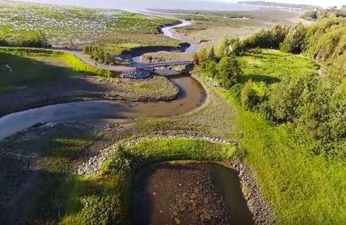 Creek winding into the ocean.