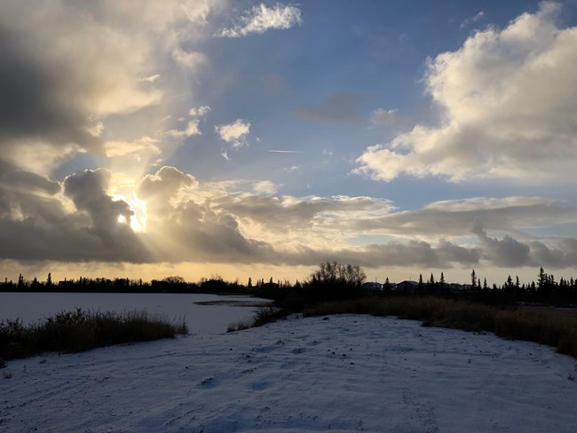 Open land with snow on the ground.