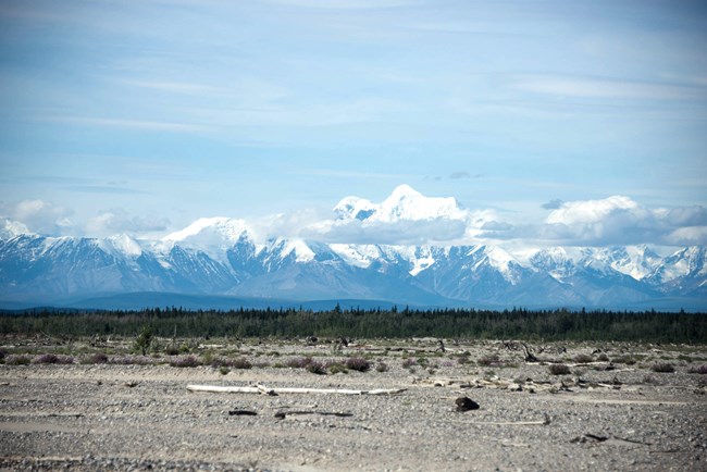 Mountains above the Delta River.