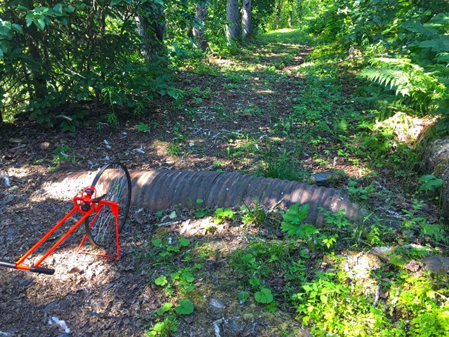 Trail counter near a culvert that has risen into the trail. Trail counter near a culvert that has risen into the trail.