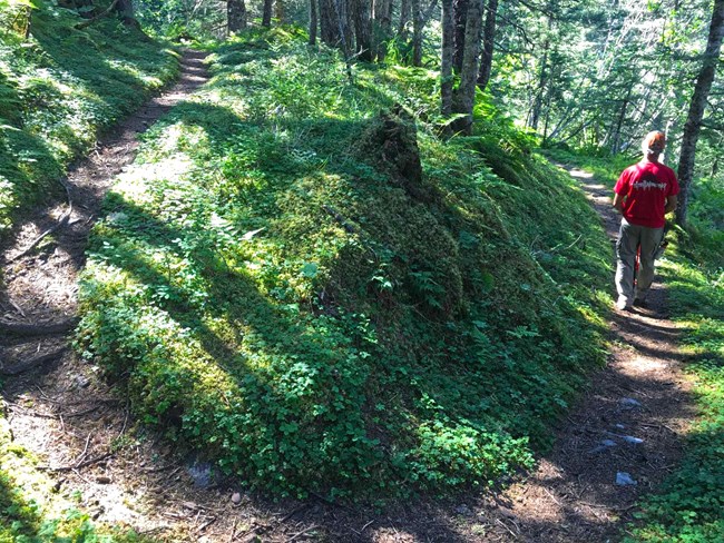 Hiker heads down trail on switchback turn. Hiker heads down trail on switchback turn.