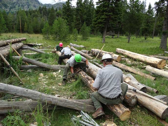Workshop attendees practice with traditional tools on a log.