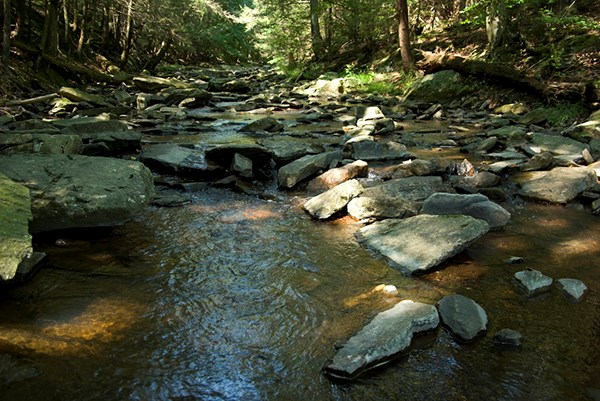 A cool water stream in Catoctin Mountain Park A cool water stream in Catoctin Mountain Park