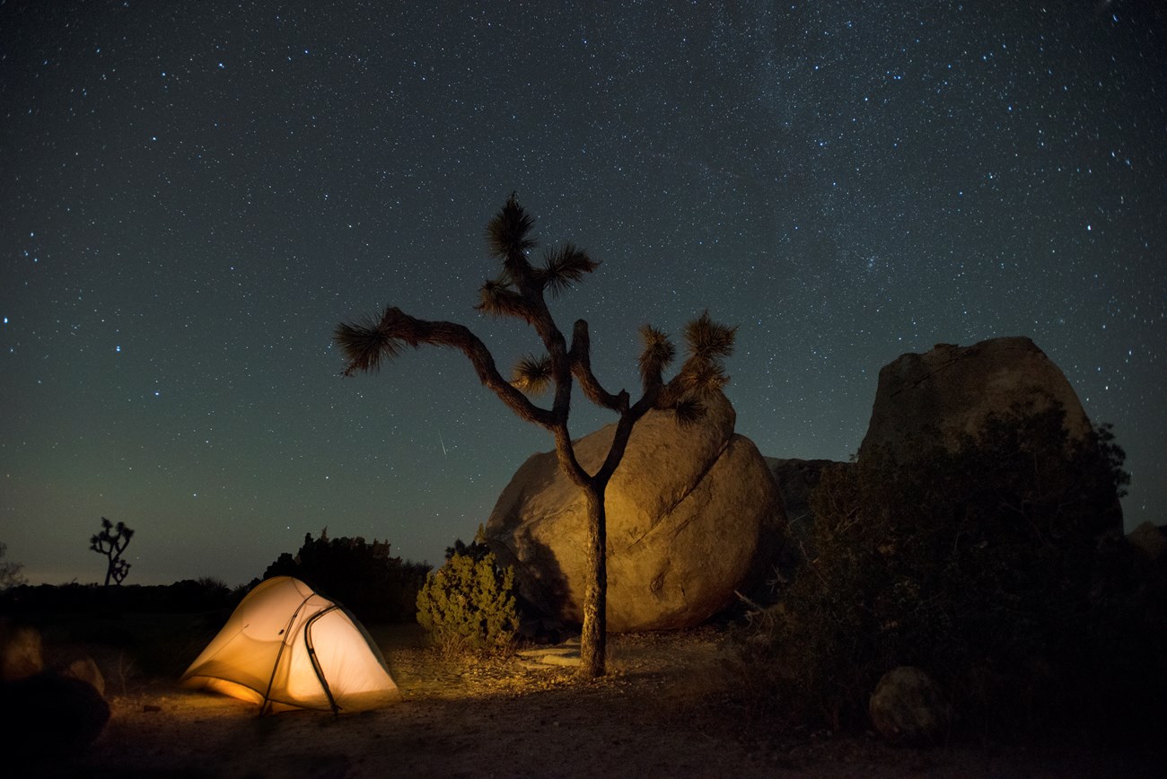 A star-filled night sky arches over a campground tent at Joshua Tree National Park.