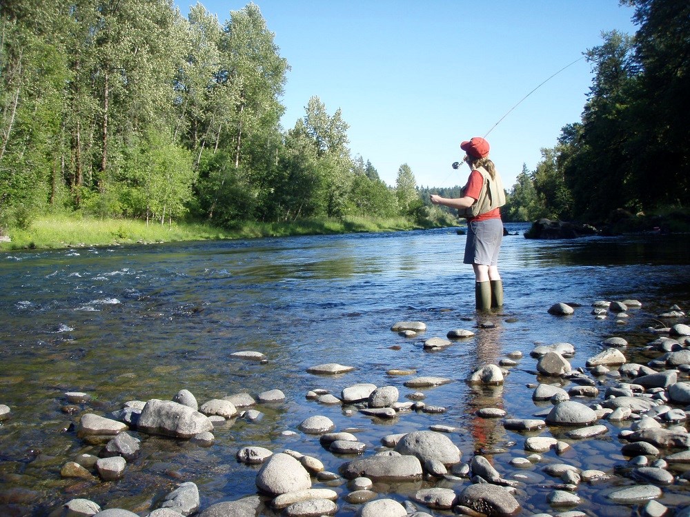 Single fly fisherman on the South Santiam River, Oregon