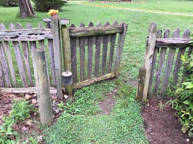 An old and grey fence surrounded by grass and bushes