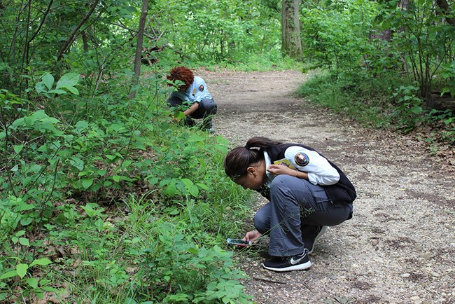 Two Biodiversity Youth Ambassadors use the mobile app iNaturalist on Theodore Roosevelt Island