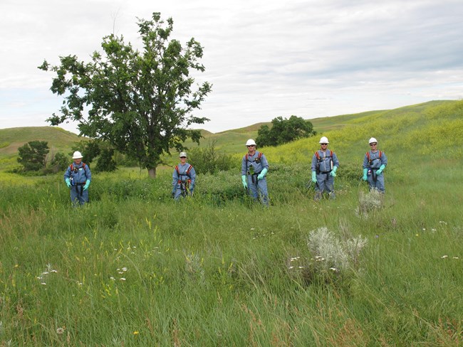 Men and women dressed in protective suites for working in the field Men and women dressed in protective suites for working in the field