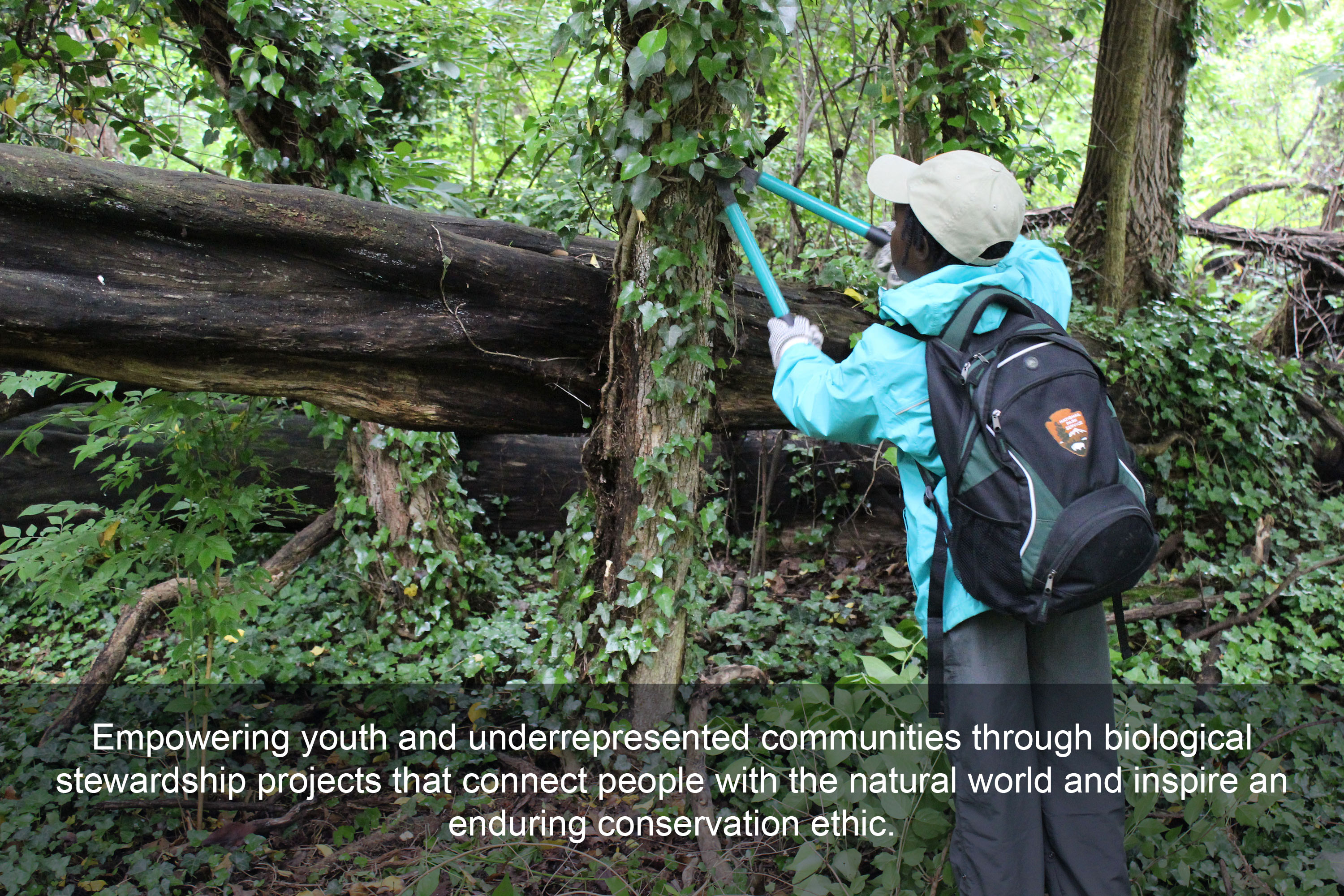 A girl safely trims English ivy from a tree, text across the bottom reading "Empowering youth and underrepresented communities through biological stewardship projects that connect people with the natural world & inspire an enduring conservation ethic". A girl safely trims English ivy from a tree, text across the bottom reading "Empowering youth and underrepresented communities through biological stewardship projects that connect people with the natural world & inspire an enduring conservation ethic".
