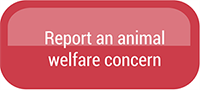 Click to report an animal welfare concern Click to report an animal welfare concern