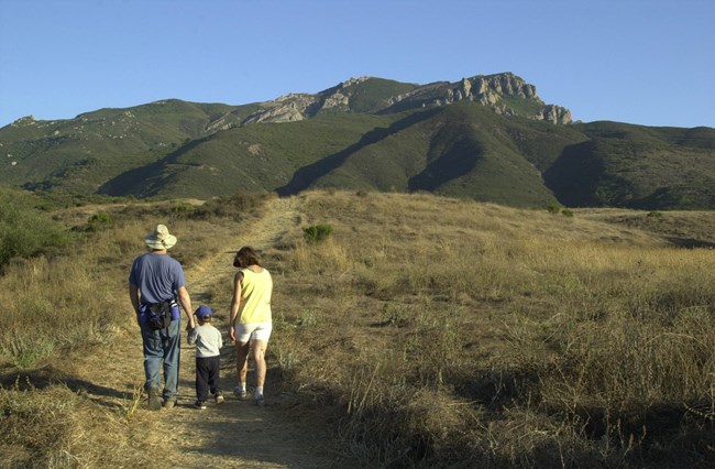 SAMO Family hiking Parents hold their child's hands while walking through a meadow