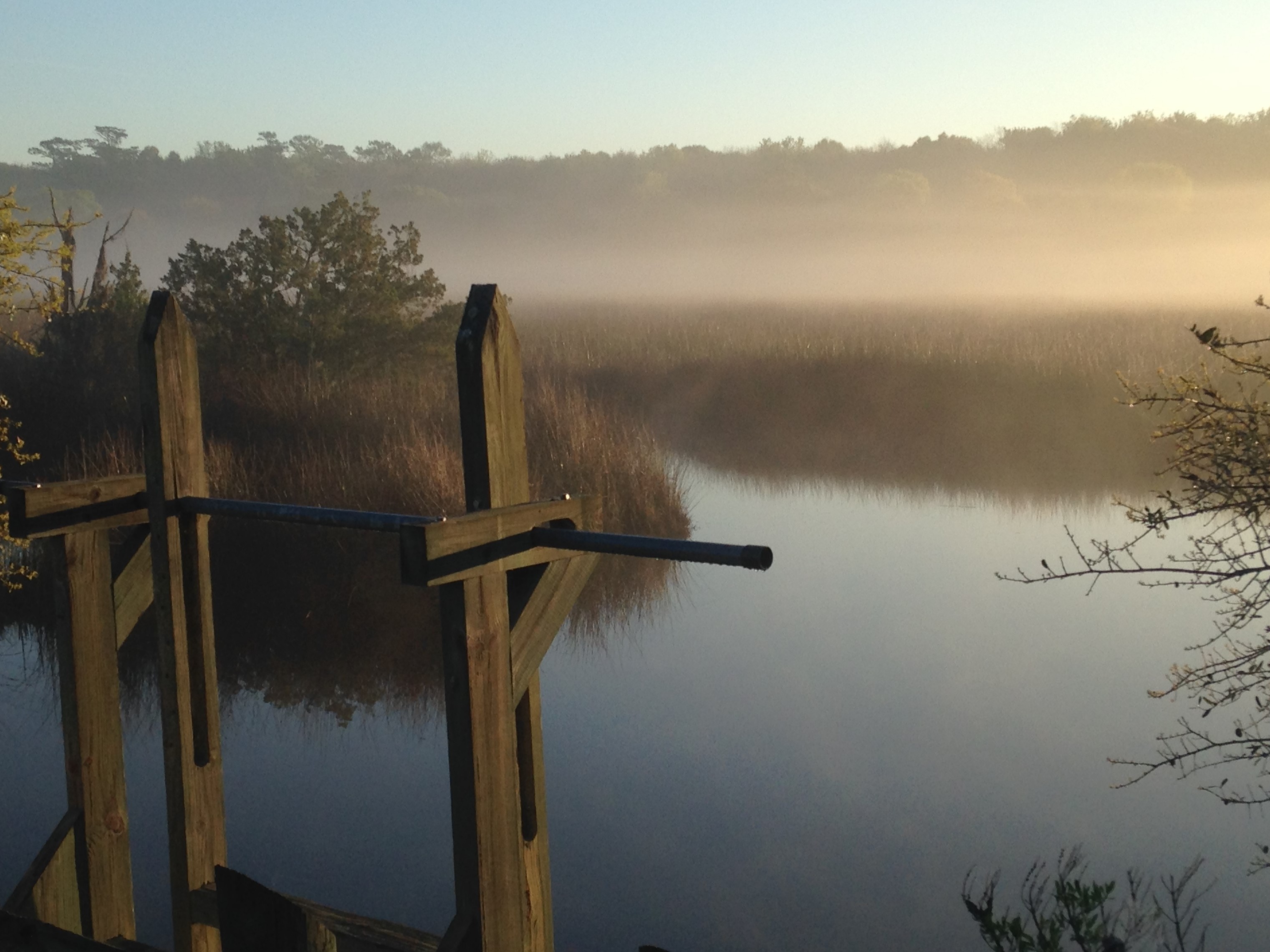 Fog lifts up off a river filled with tall grass, obscuring the tree line.