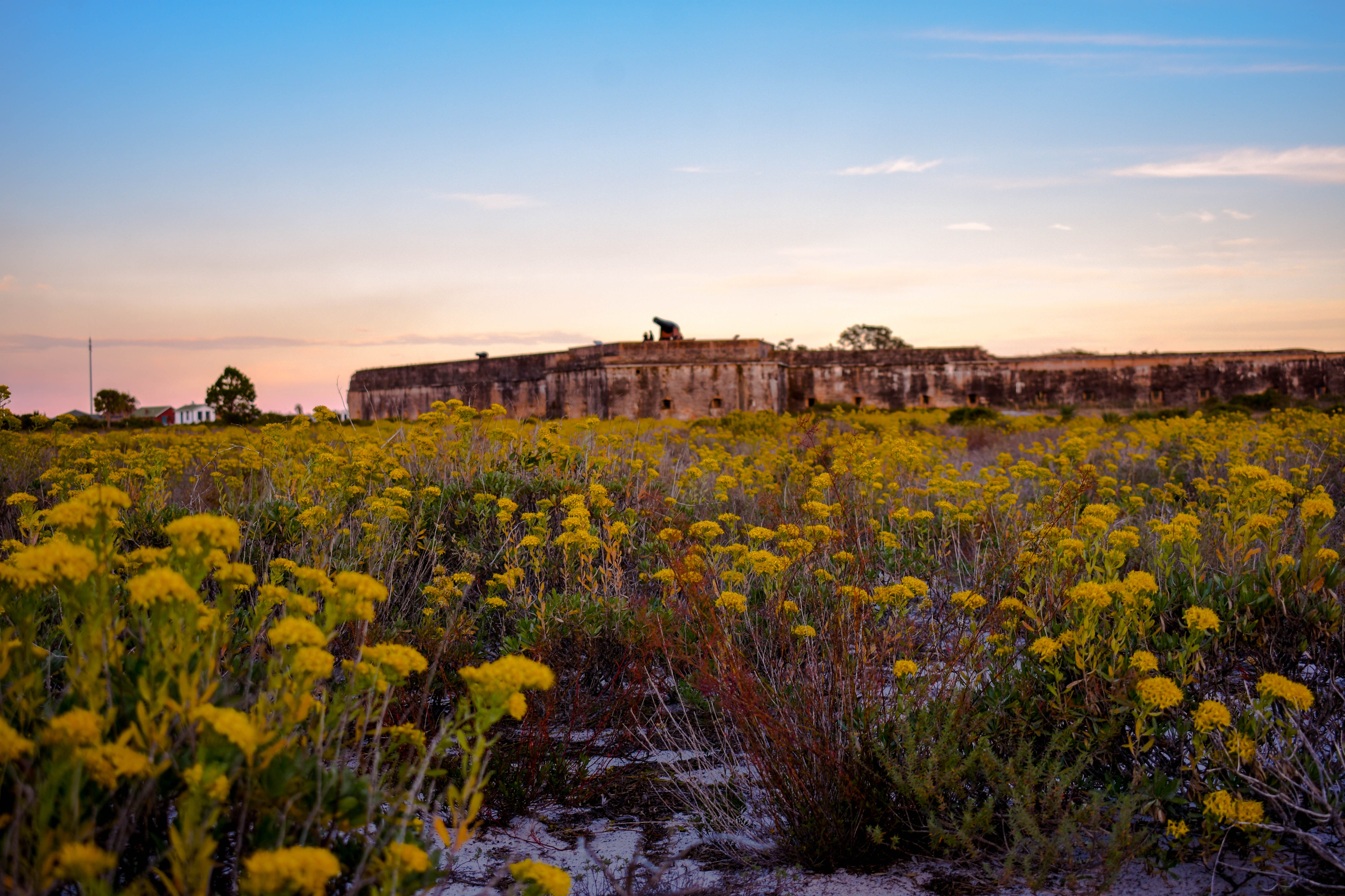 Fort Pickens, Gulf Islands National Seashore A photograph of flowers with Fort Pickens towering in the background.