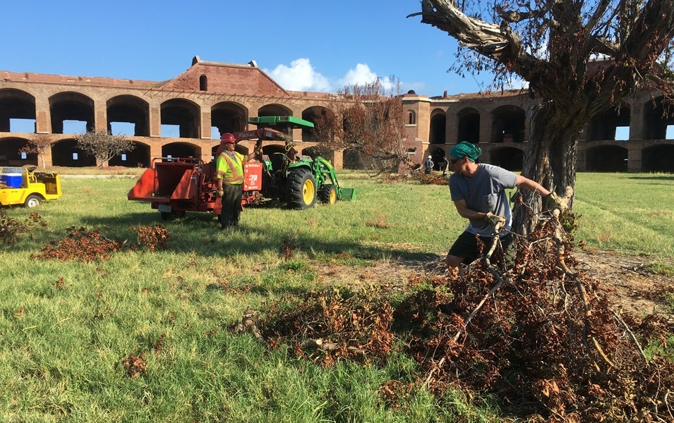 In a grassy area surrounded by a two-story brick arcade, crews with heavy equipment clear downed limbs.