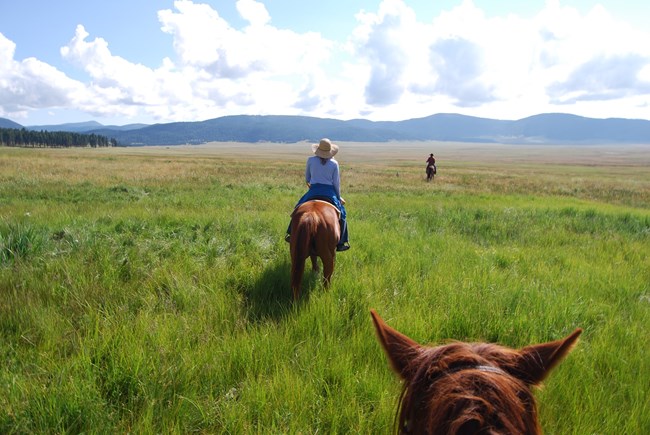 Two people riding horses in a grass field