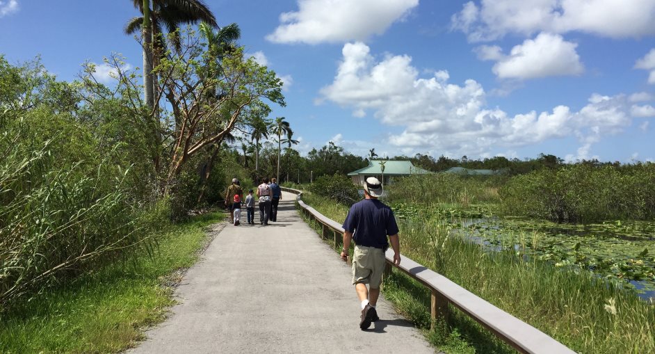 People on a paved trail through a green landscape with blue sky and clouds