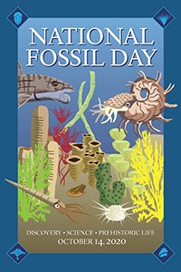 2020_NFD_Poster_200by300 National Fossil Day logo