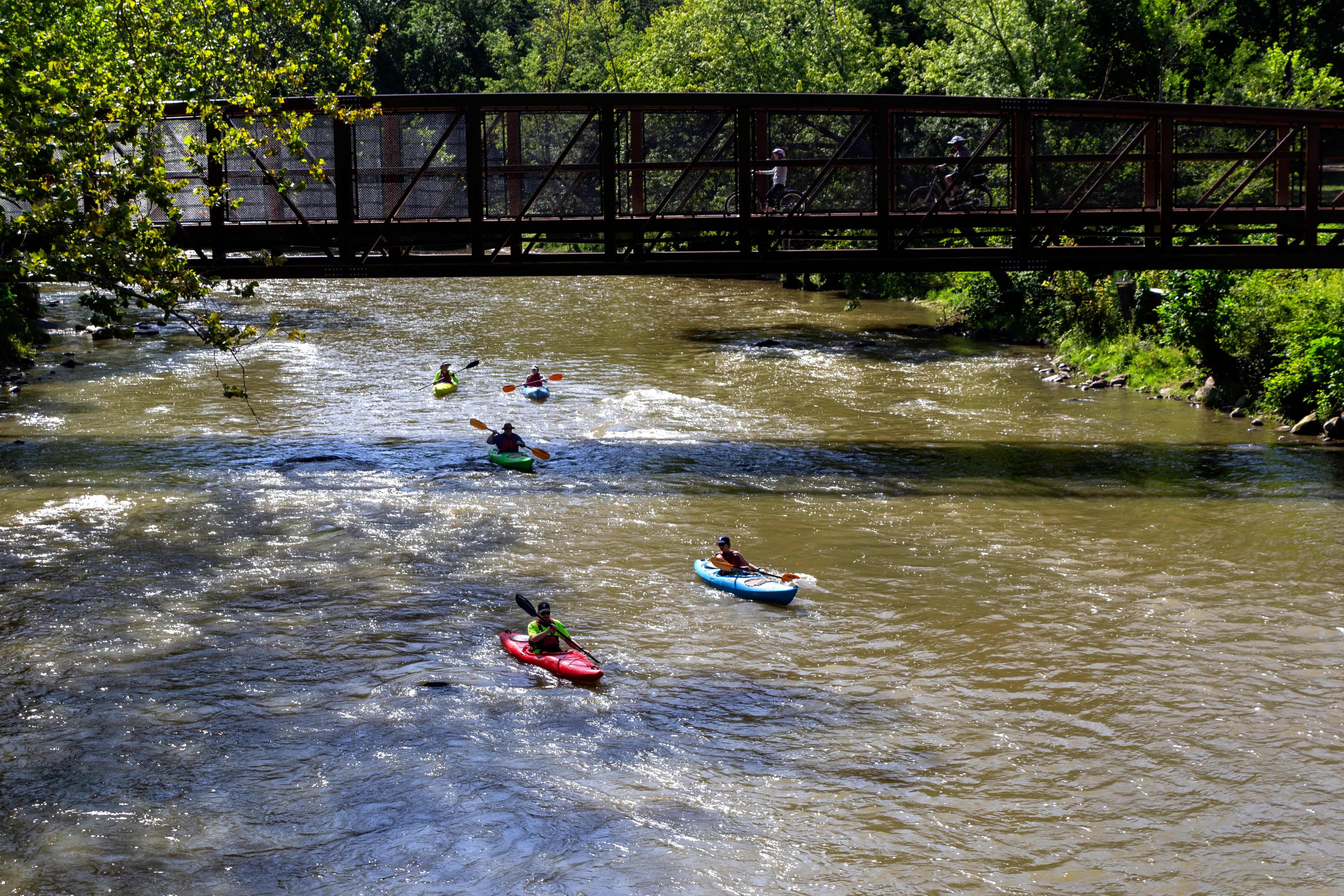 5 kayakers paddle along a forested river.