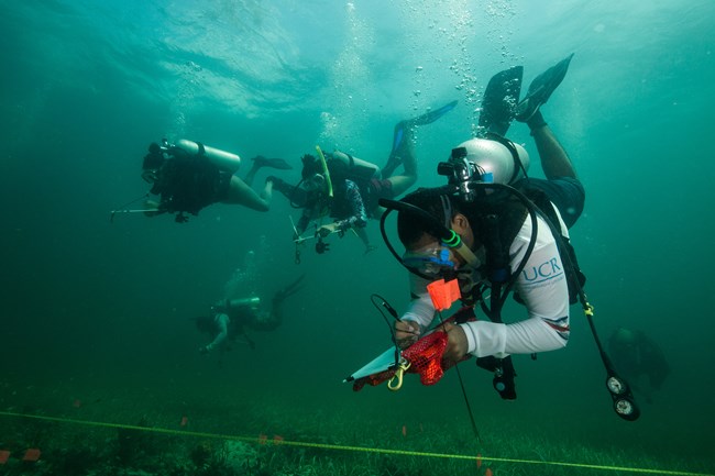 Scuba diver under water