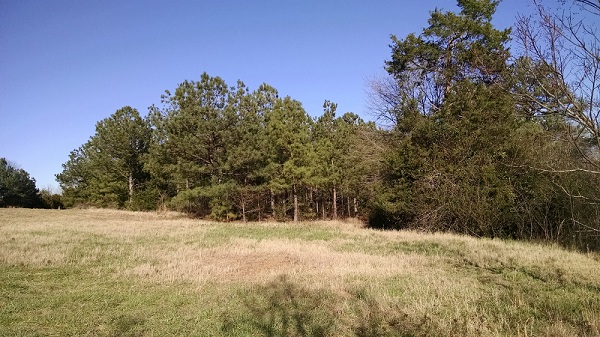 Second Hanging Rock Battlefield