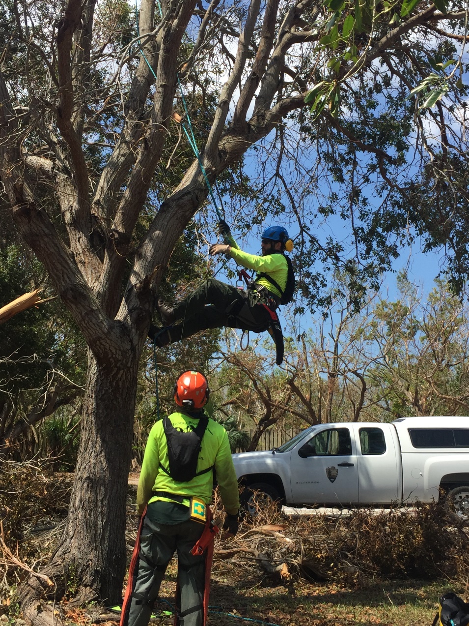 Arborist Incident Response team members at Biscayne National Park after Hurricane Irma Two NPS crewmembers working on a tree