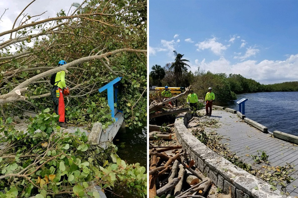 Side-by-side photos showing trees laying along a board walk in one and the cleared boardwalk in the other