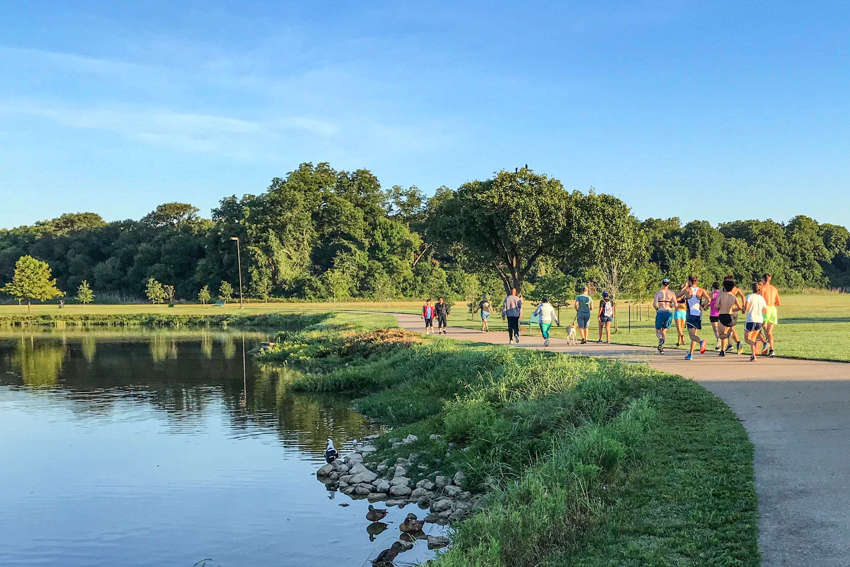 People walking and jogging on a trail with a lake to the left and trees to the right.