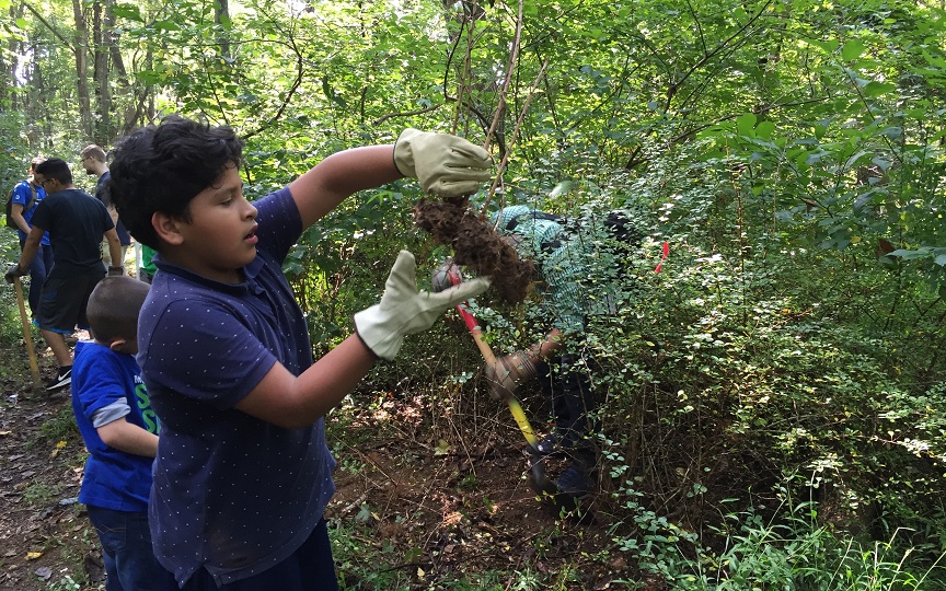 CAMO Youth Volunteer